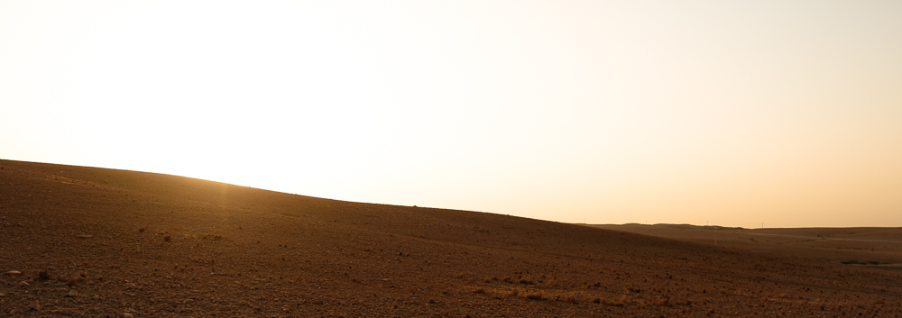 DesertScape II