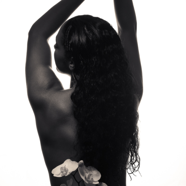 portrait_orchids
